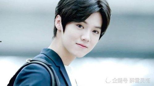 圈内爆料鹿晗许凯,揭秘娱乐圈的神秘恋情  第2张