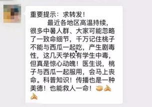小说桃桃吃瓜免费阅读全文,一场穿越时空的甜蜜复仇之旅