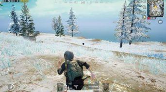 最新爆料六图雪地图片视频,冬日雪地奇观，美不胜收！”  第2张
