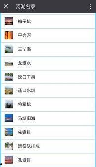 车城最新爆料信息查询网,揭秘汽车行业最新动态与趋势  第2张