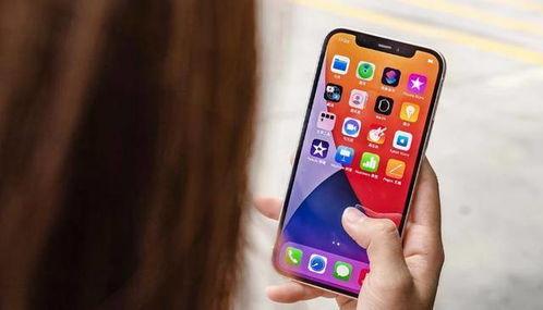 iphone13 promax最新爆料,设计革新与性能升级大揭秘！  第1张