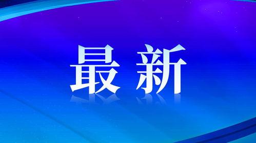 东莞新闻今日爆料,最新爆料揭示城市动态与热点事件  第1张