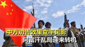 广东省今日一线爆料,揭秘热点事件背后真相  第3张