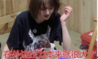 娱乐圈爆料贴子,揭秘明星背后的秘密与真相  第3张