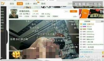 互联网爆料视频下载,下载背后的真相与争议  第3张