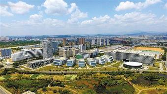 深圳坪山新闻爆料平台,聚焦热点事件，共筑平安社区  第2张