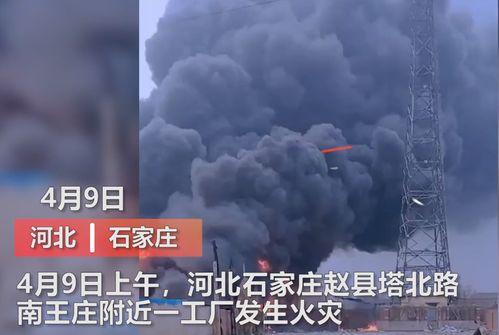 洛阳传媒公司爆料事件视频,揭秘背后真相