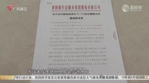 湛江市今日关注爆料,今日热点事件深度解析  第3张