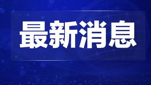 热点爆料新闻50字评价,揭秘真相，直击社会热点事件
