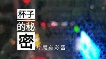 无锡饭店爆料视频最新版,惊人内幕曝光！  第1张