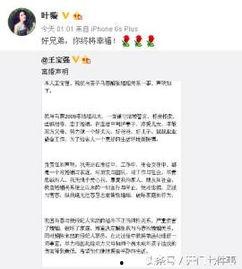 娱乐圈虚假爆料揭秘,真相与谣言的较量  第2张
