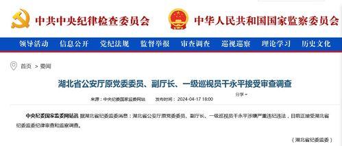 大皖新闻 爆料电话查询,揭秘电话查询背后的秘密  第3张