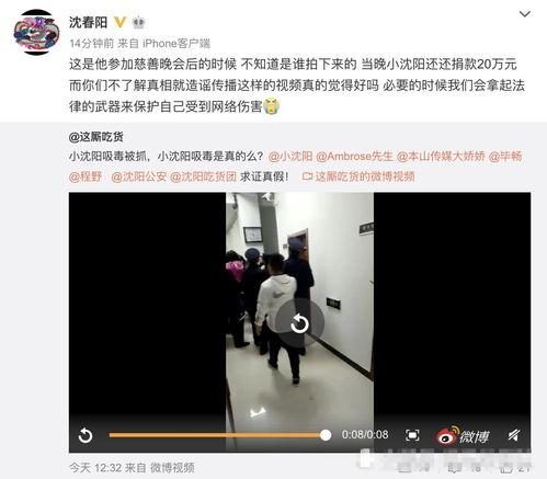 小沈阳媳妇爆料视频全集,揭秘夫妻生活幕后真相  第2张