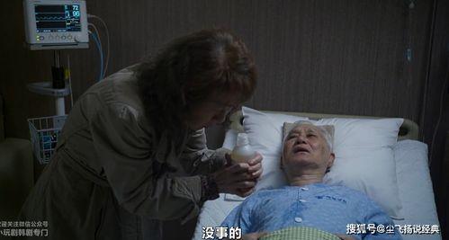 禁忌耻辱在线观看,揭秘黑暗面的惊悚之旅