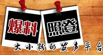 重庆爆料新闻,揭秘城市热点事件背后的真相