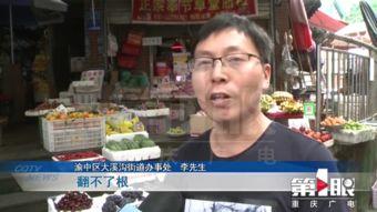 重庆爆料新闻,揭秘城市热点事件背后的真相  第3张