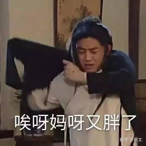 小来爱耍赖豆瓣爆料视频,小来耍赖事件视频引发网友热议  第2张