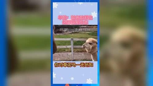 娱乐吃瓜群众冲冲冲,揭秘娱乐圈幕后故事  第3张