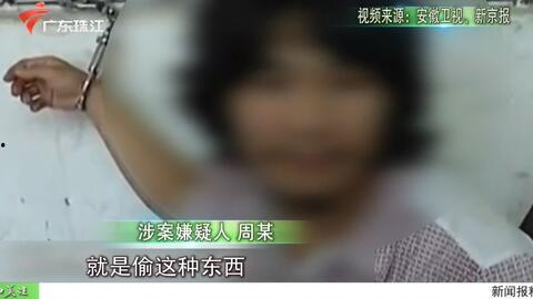 今日关注爆料广东珠江台,揭秘热点事件背后的真相  第2张