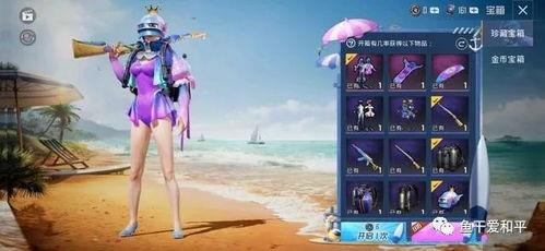 军需皮肤返场最新爆料,最新爆料揭秘神秘皮肤回归