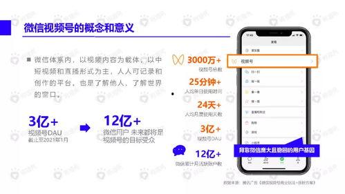 网友爆料美食视频下载安装,下载安装攻略大公开  第2张