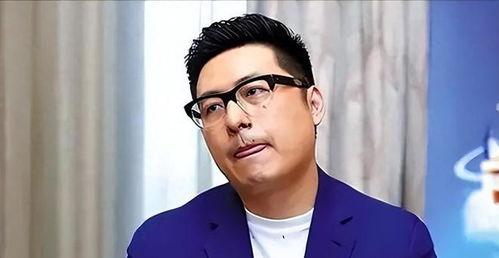 王岳伦娱乐圈大爆料,独家爆料揭露明星幕后真相  第2张